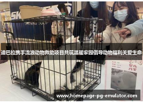 迪巴拉携手流浪动物救助项目共筑温暖家园倡导动物福利关爱生命 迪巴拉携手流浪动物救助项目共筑温暖家园倡导动物福利关爱生命