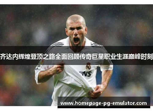 齐达内辉煌登顶之路全面回顾传奇巨星职业生涯巅峰时刻