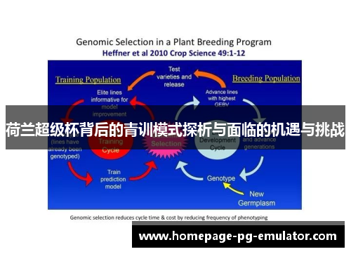 荷兰超级杯背后的青训模式探析与面临的机遇与挑战
