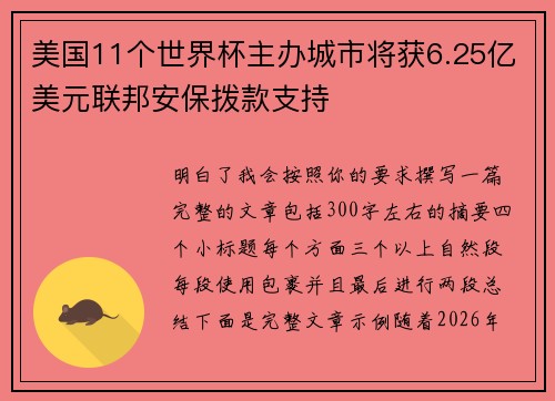 美国11个世界杯主办城市将获6.25亿美元联邦安保拨款支持 美国11个世界杯主办城市将获6.25亿美元联邦安保拨款支持